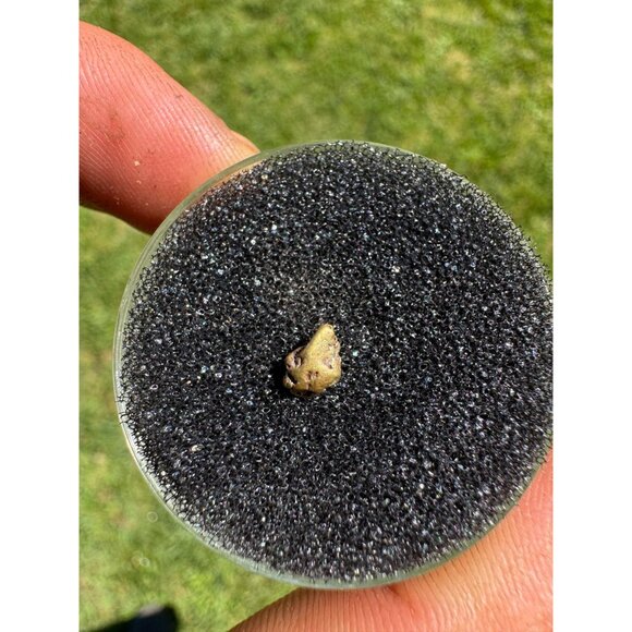 Gold Nugget - Grass Valley, California - 0.37 grams - Picture 4 of 6